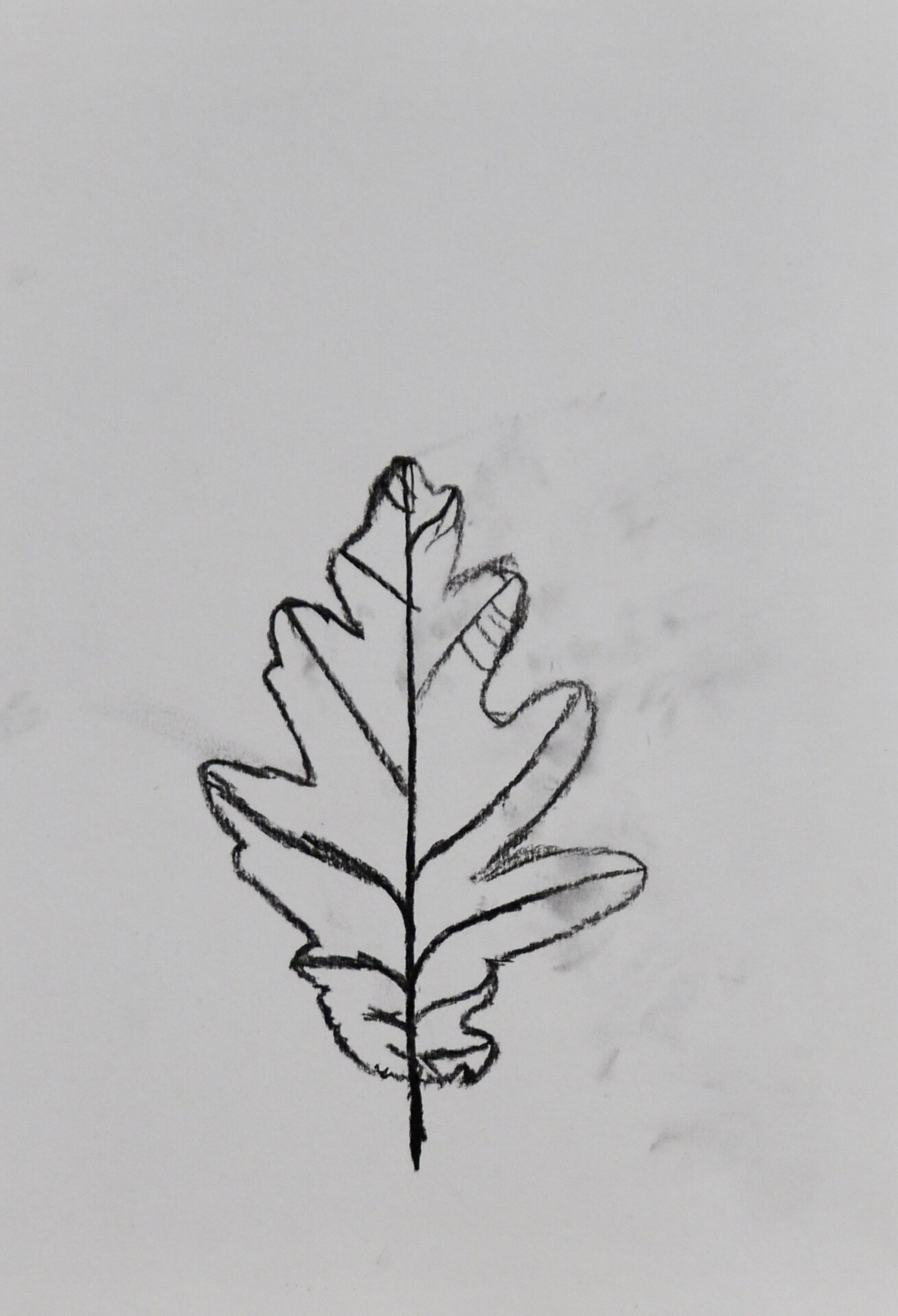 Leaves - Leaf - 49